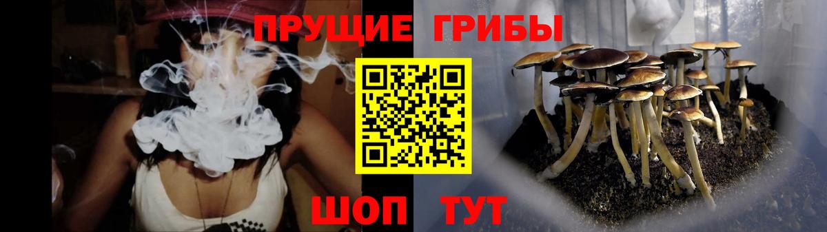 дарнет шоп  Псилоцибиновые грибы Magic Shrooms  Воскресенск  Вход с VPN  Галлюциногенные грибы Psilocybe 